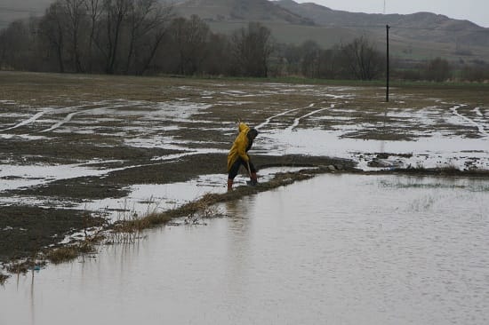 DERE TAŞTI TARLALAR SU ALTINDA KALDI