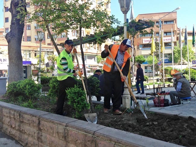 SUNGURLU ÇİÇEKLERLE BEZENİYOR