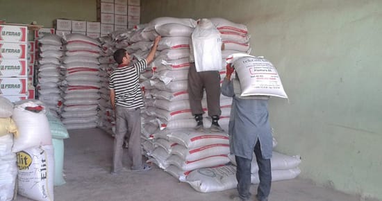 SERTİFİKALI TOHUM SATIŞLARI BAŞLADI