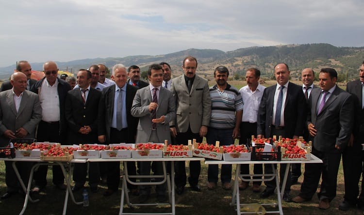 ÇORAK TOPRAKLAR ÇİLEKLE HAYAT BULDU