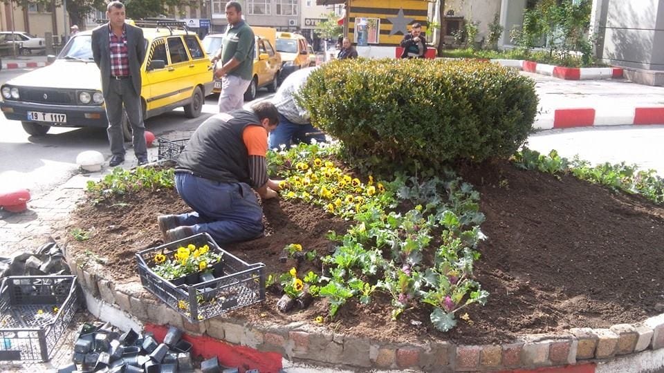 AMACIMIZ YEŞİL BİR SUNGURLU OLUŞTURMAK