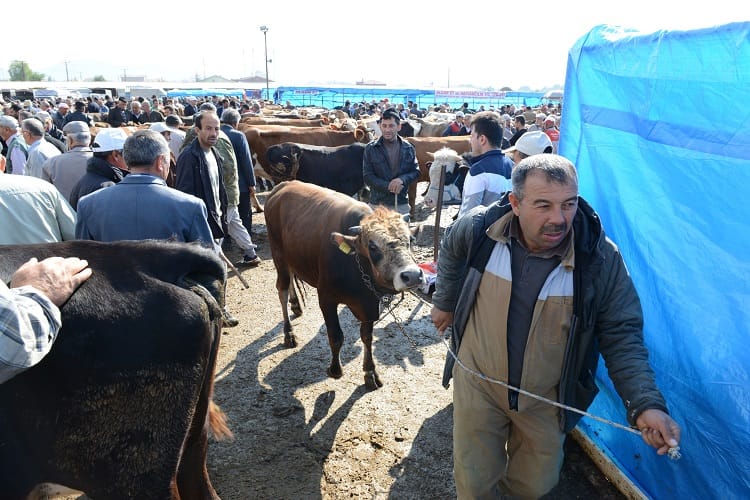 KURBAN KESİM YERLERİ BELİRLENDİ