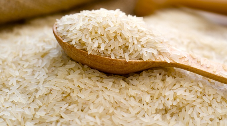 TOSYA, OSMANCIK PİRİNCİNİ KISKANDI