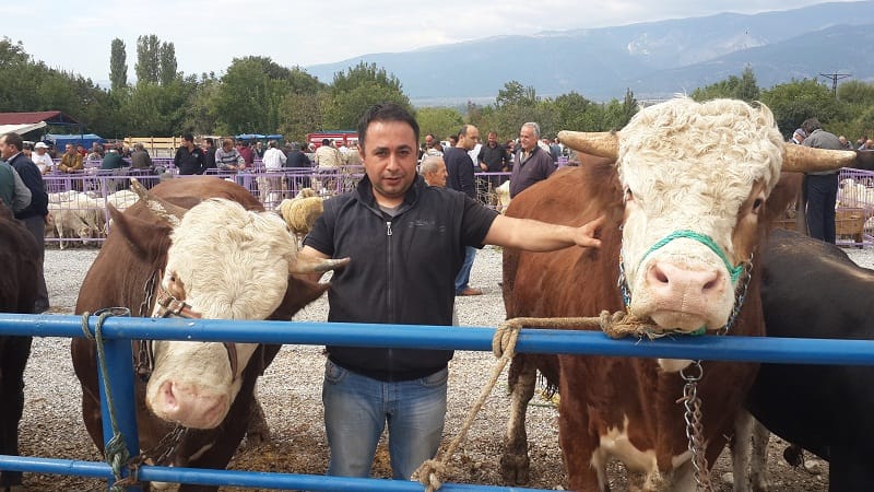 OTOMOBİL FİYATINA KURBANLIK
