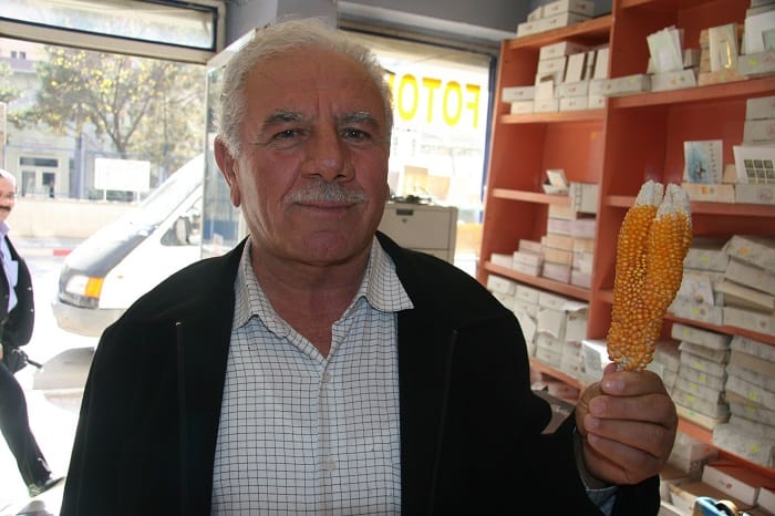 ÇORUM’DAKİ BU MISIR GÖRENLERİ ŞAŞIRTTI