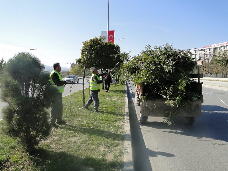 PARK BAHÇELERDE KIŞ HAZIRLIĞI