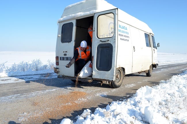 DOĞAL ORTAMLARA YEM BIRAKTILAR