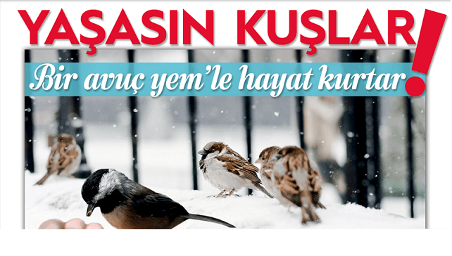 ÇORUM İMAM-HATİP KAMPANYA BAŞLATTI