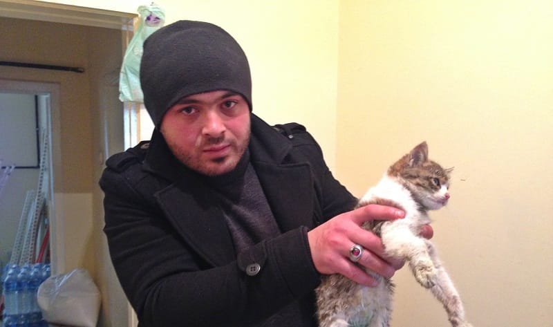 YARALI KEDİ İÇİN CEPTEN BAŞKANI ARADI