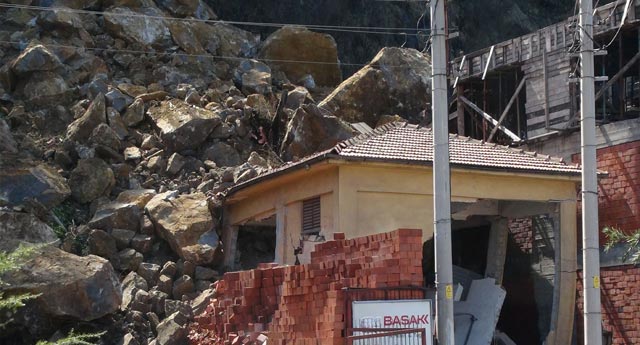 KAYA DÜŞTÜ, 2 İNEK TELEF OLDU