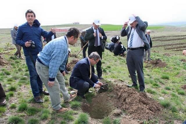 1000 ADET FİDAN TOPRAKLA BULUŞTU