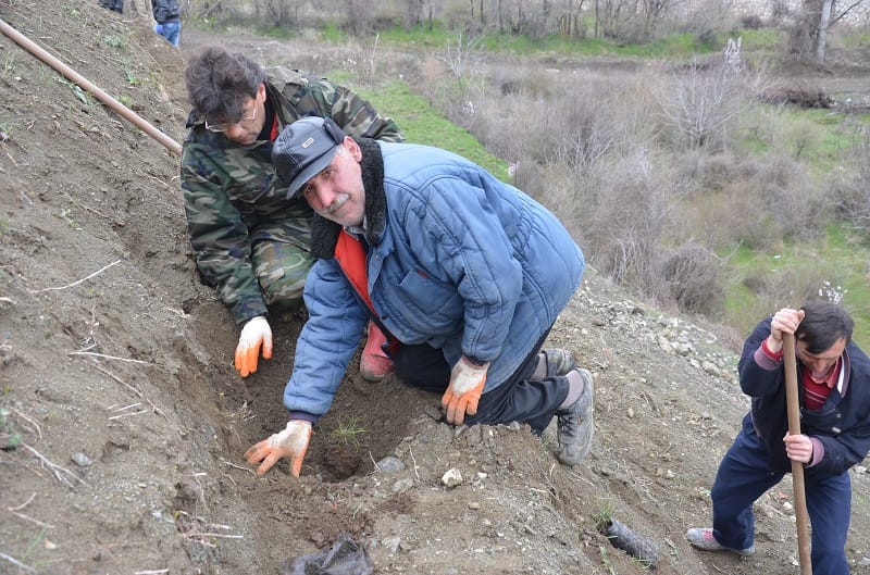 İSKİLİP BELEDİYESİ’NDEN FİDAN SEFERBERLİĞİ