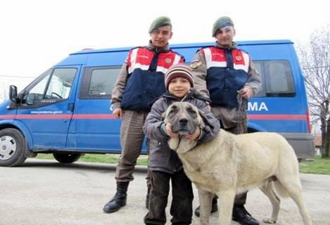 ÇALINAN KANGALI JANDARMA BULDU