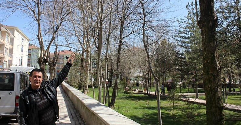 SUNGURLU’DA KARGALAR SORUN OLDU