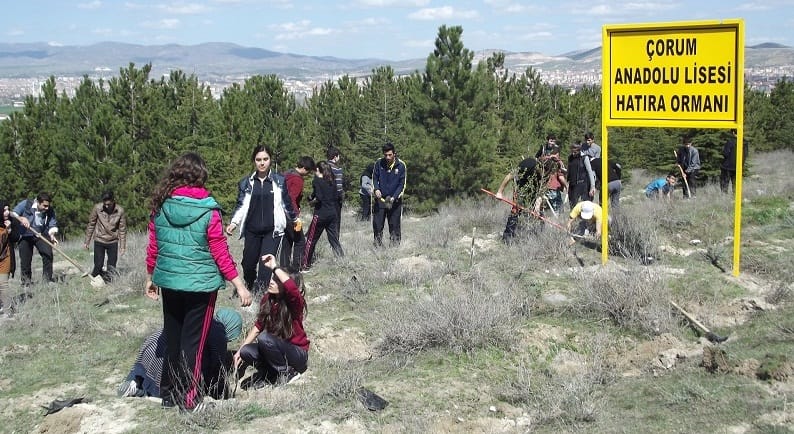 ANADOLU LİSESİ ÖĞRENCİLERİ FİDAN DİKTİ
