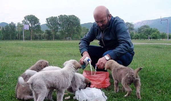 TERKEDİLEN YAVRU KÖPEKLERE BERBER SAHİP ÇIKTI