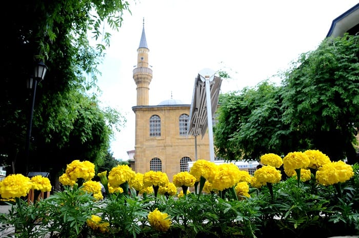 ÇORUM, HER RENK ÇİÇEKLE DONATILACAK