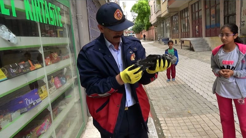 ÇATIDA MAHSUR KALAN KARGA KURTARILDI