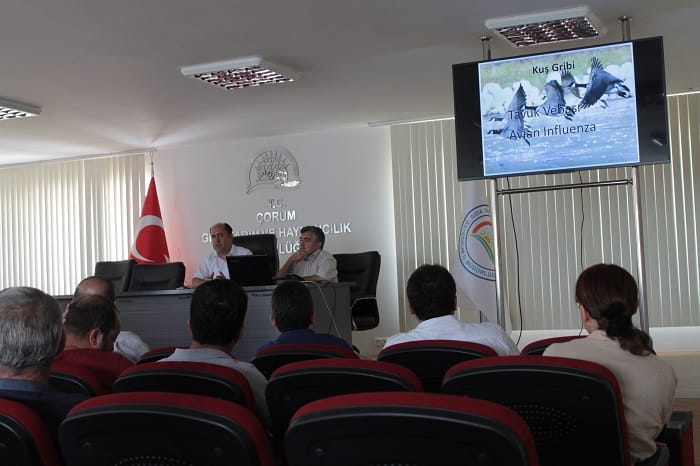 ÇORUM’A KUŞ GRİBİ UYARISI