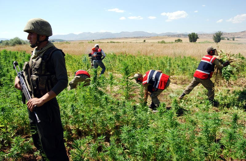 JANDARMAYI ŞAŞIRTAN OPERASYON