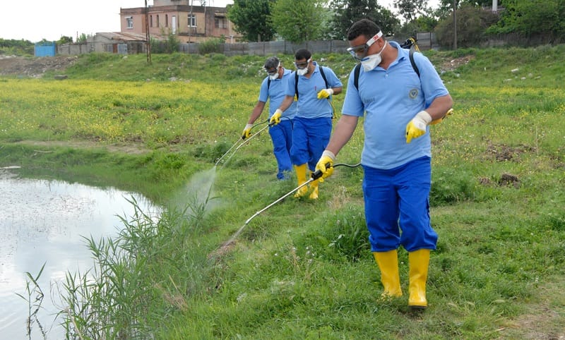 ÇORUM’DA VATANDAŞ SİNEKTEN ŞİKAYETÇİ