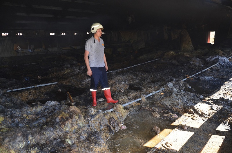 ÇORUM’DA TAVUKLAR DİRİ DİRİ YANDI