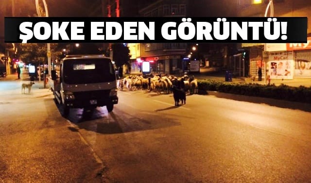 ÇORUM’DA GÖRENLER FENA ŞAŞIRDI