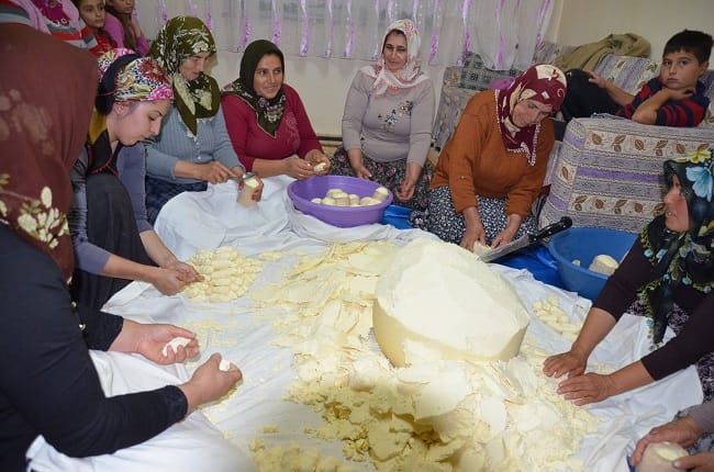 KARGI PEYNİRİ ÜNİVERSİTEDE TEZ KONUSU OLDU