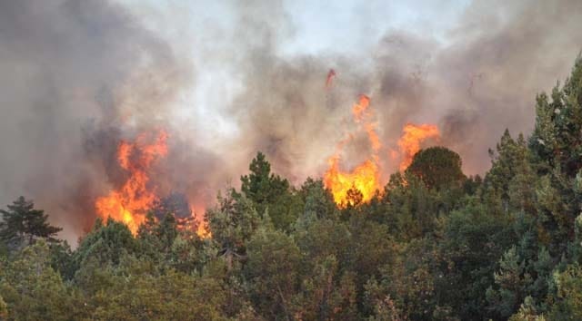 ÇORUM’DA 13 ORMAN YANGINI ÇIKTI