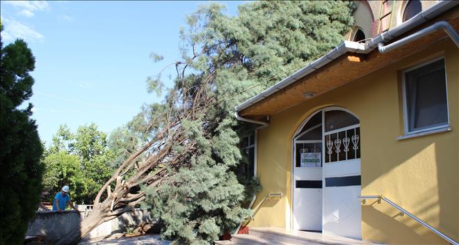 ÇAM AĞAÇLARI CAMİNİN ÜZERİNE DEVRİLDİ