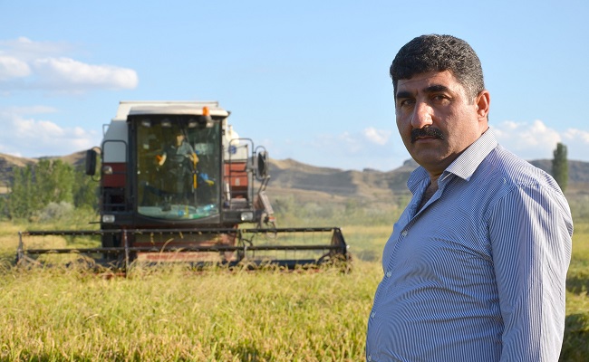 ÇORUM’DA ‘BEYAZ ALTIN’ HASADI BAŞLADI