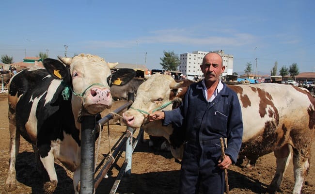 ÇORUM’DA KURBAN SIKINTISI YOK