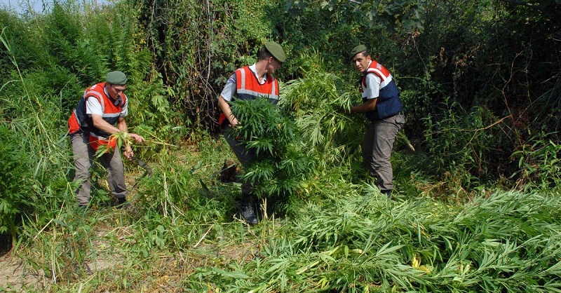 BU EVDEN ÇIKANLAR ÇOK ŞAŞIRTTI