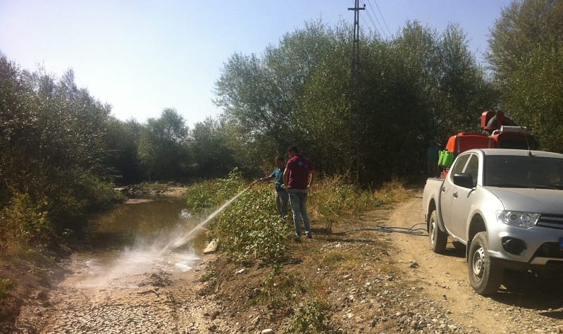 SUNGURLU’DA SİNEKLE MÜCADELE TAM GAZ