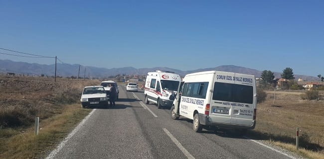 OTOMOBİL ÜZÜM BAĞINA UÇTU