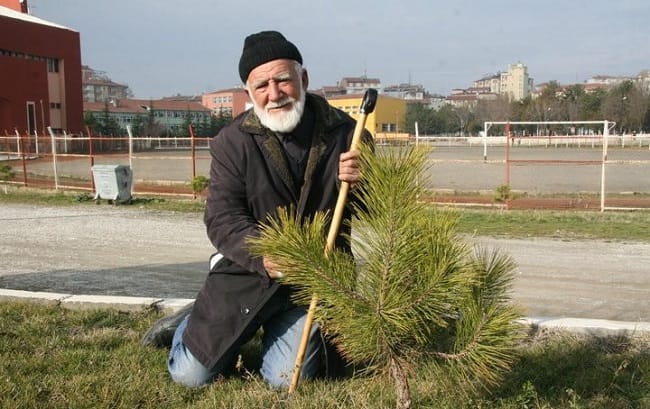 ÇORUM’DAKİ ÇAKIR DAYI 400 BİN FİDAN DİKTİ
