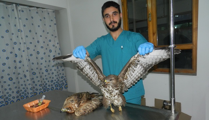 ÇORUM’DA İNSANLIK DAHA ÖLMEMİŞ