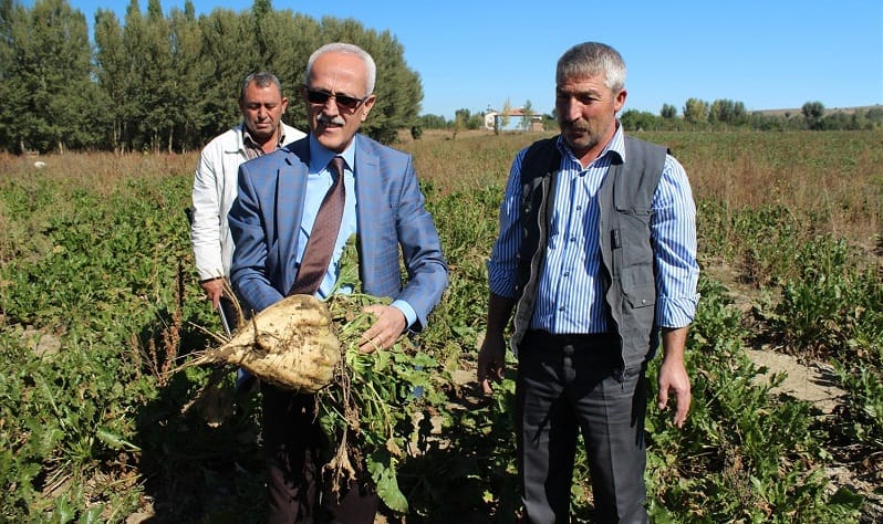 ÇORUM’DA 68 BİN 735 TON ŞEKER ÜRETİLDİ