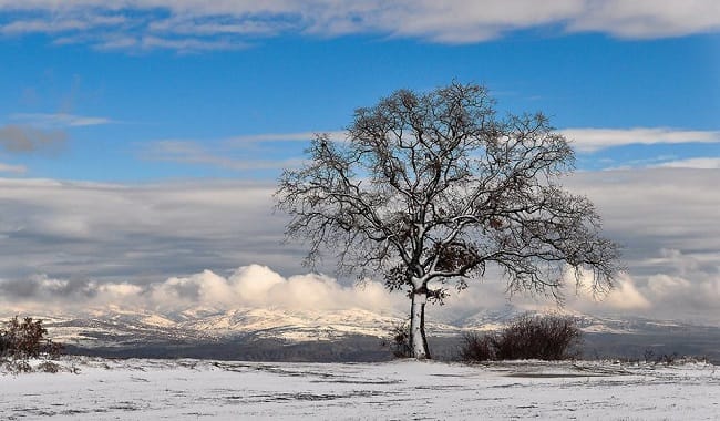 ÇORUMLU FOTOĞRAF SEVERLERDEN İLK SERGİ