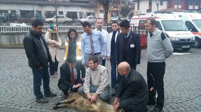 KAZASIZ BİR YIL OLMASI İÇİN KURBAN KESTİLER