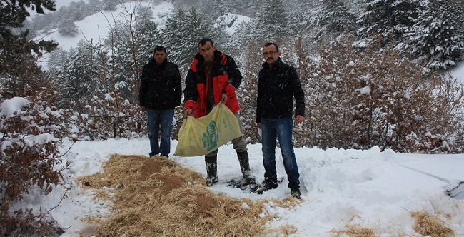 DOĞADAKİ YABANİ HAYVANLARI UNUTMADILAR