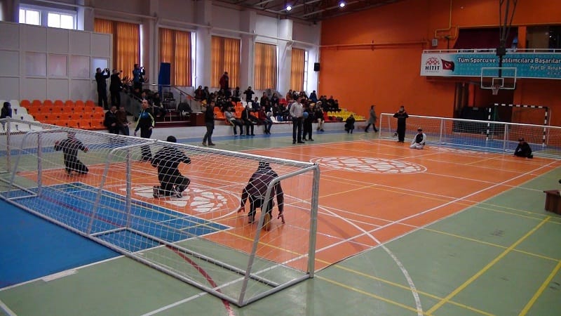 GOALBALL MAÇINDA BÜYÜK SEVİNÇ