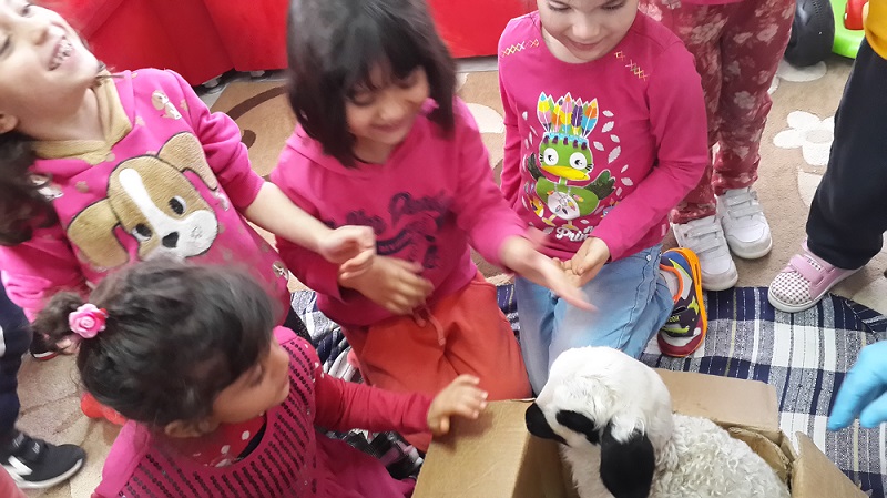 ANASINIFI ÖĞRENCİLERİNİN KUZU SEVİNCİ