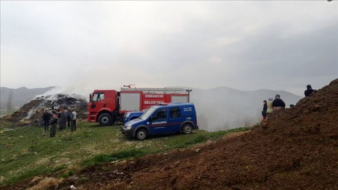 SAMAN BALYALARI YANGINI KORKUTTU