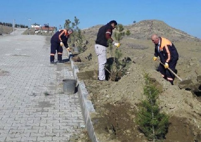 YEMYEŞİL BİR SUNGURLU İÇİN ÇALIŞMALAR BAŞLADI