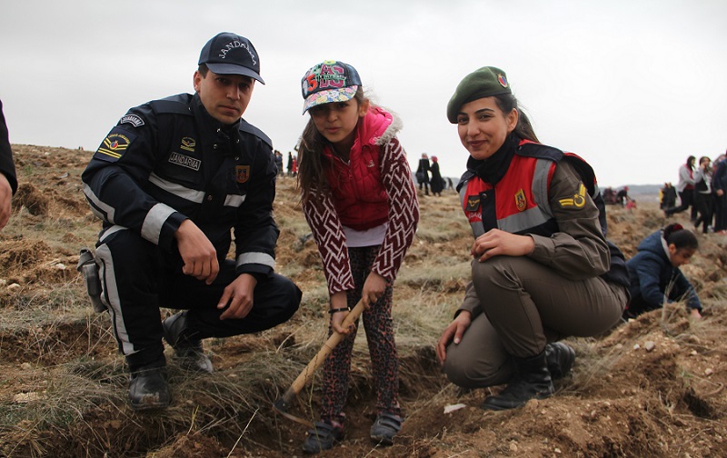 ÇORUM’DA FİDANLAR TOPRAKLA BULUŞTU