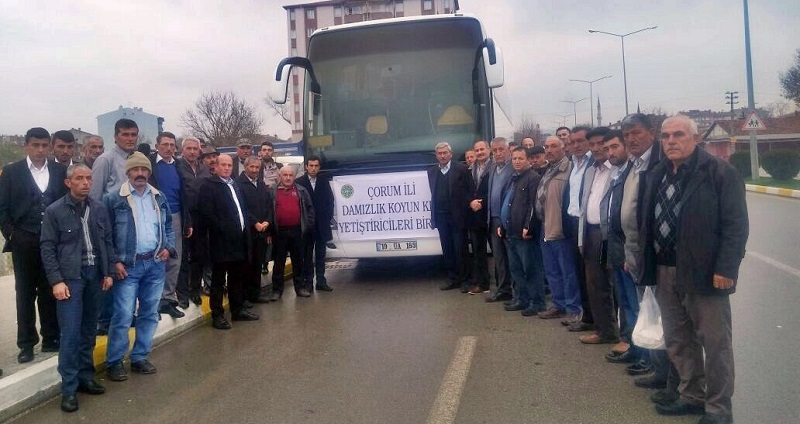 KOYUN VE KEÇİ BİRLİĞİ’NDEN KONYA ÇIKARMASI