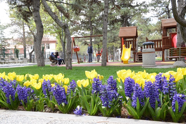 ÇORUM 300 BİN ÇİÇEKLE RENKLENDİ