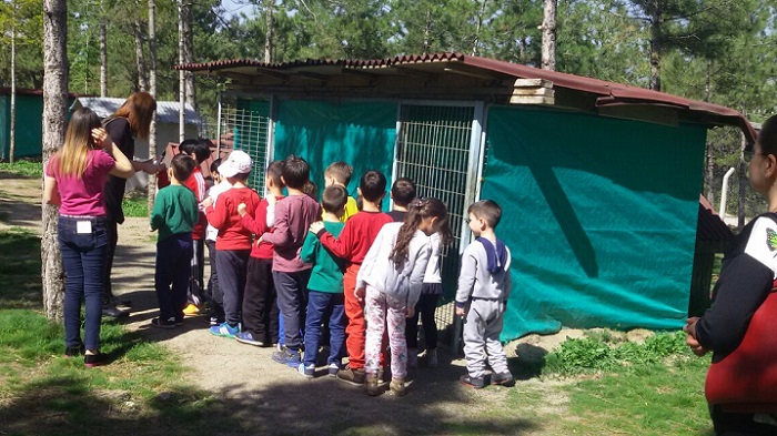 MİNİKLER ÖĞRENCİLER HAYVANLARI SEVDİ