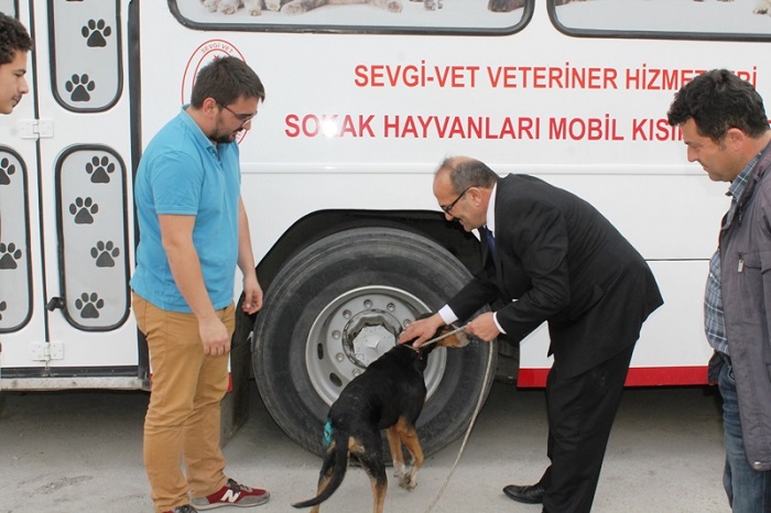 KARGI’DA SOKAK HAYVANLARI KISIRLAŞTIRILACAK